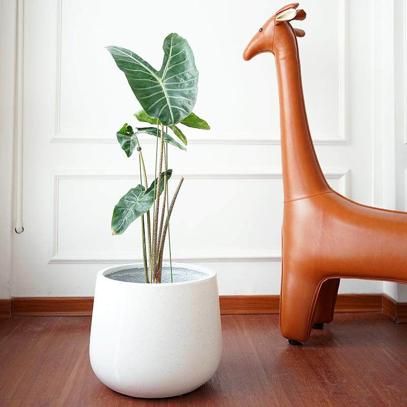 北欧简约水泥花盆黑色客厅落地圆形盆栽盆器超大号创意白色种树盆,淘宝优惠券,粉丝福利购,淘宝优惠卷