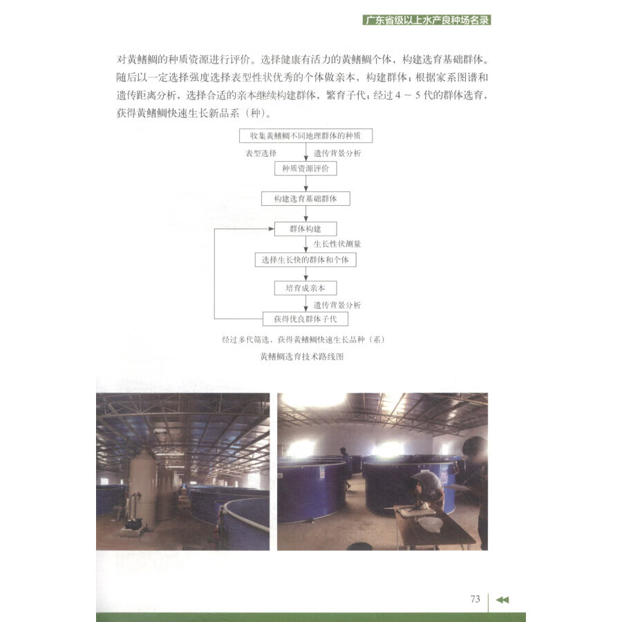 正版书籍 广东省级以上水产良种场名录 水产良种场的起源 品种特点 繁育技术体系和推广应用成果参考书 水产科技养殖基础书籍 - 图0