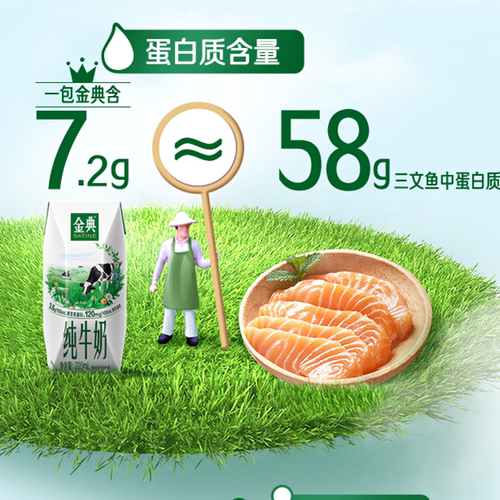 6月伊利金典纯牛奶200ml*12盒装学生成人营养早餐牛奶 - 图1