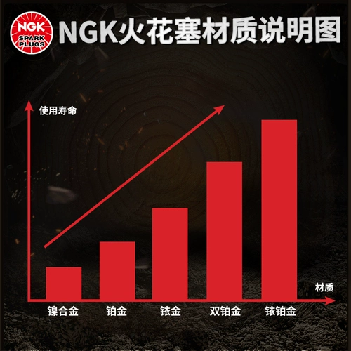 NGK 5547 Зажигательная заглушка PFR6W-TG подходит для Audi A6A8LQ7S5 Volkswagen Phaeton Touareg S8 5.2L