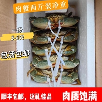 Zhao Anqing crab fresh vegetable sturgeon crab Crab Virgin Crab Virgin Crab Virgin Marine Crab has a net weight of two and 4-6 only