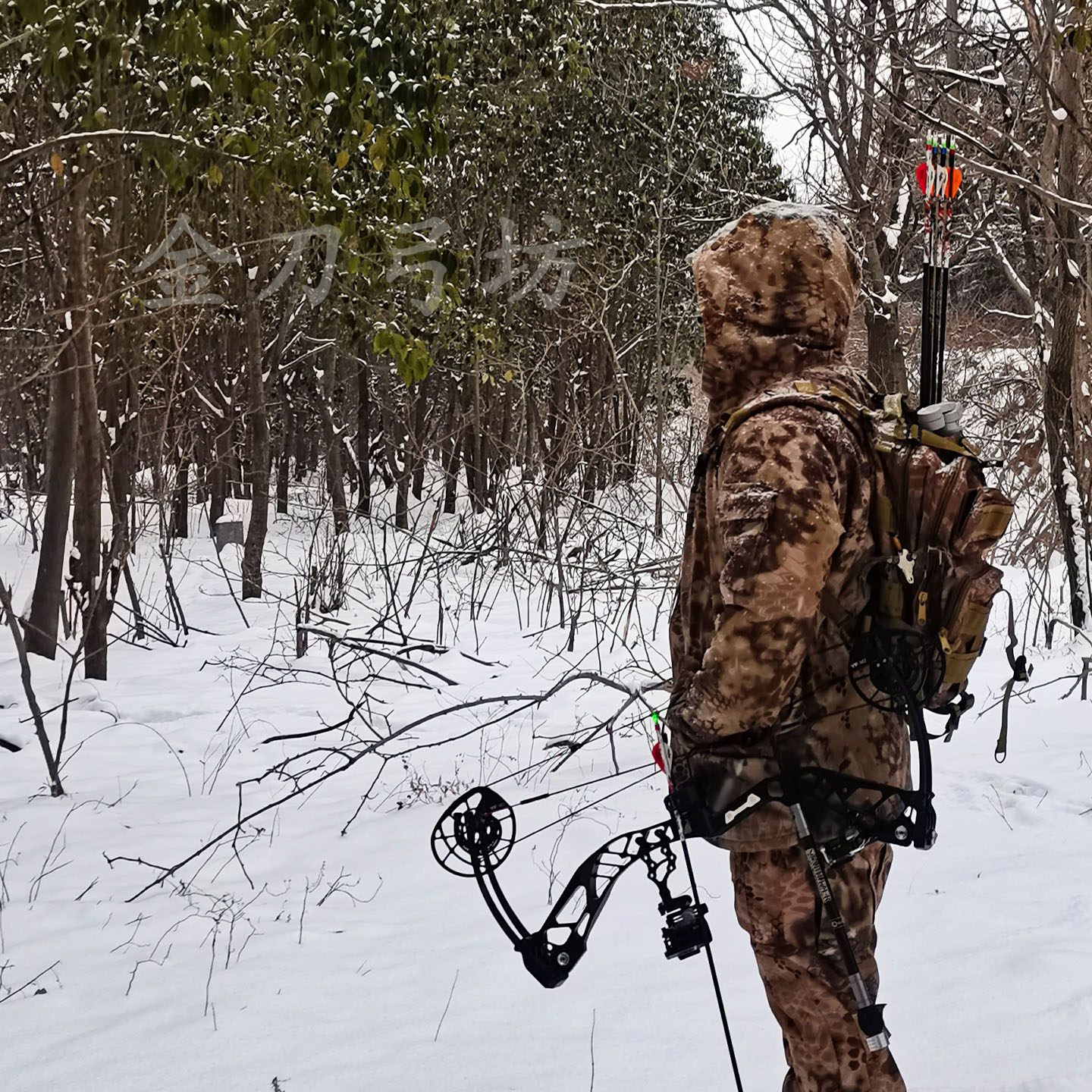 金刀弓坊 御风复合弓 射箭复合弓单用射箭专用 滑轮复合弓 非两用,淘宝优惠券,粉丝福利购,淘宝优惠卷