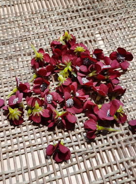快乐小花花海大世界diy素点缀花