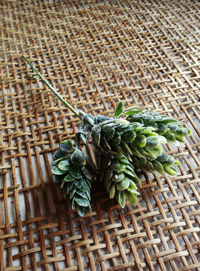 diy手工头饰多肉绿植仿真花环