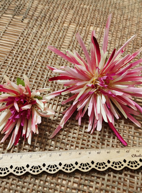花海大世界森系绢花菊烟花头饰