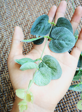 DIY手工头饰仿真尤加利花环