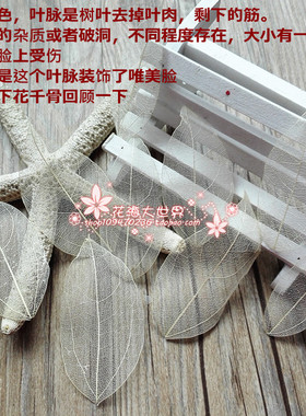 花海大世界干花木片树叶永生花