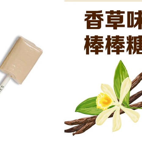 美国直邮Sees Candies喜诗4种口味时思棒棒糖混合巧克力咖啡礼物 - 图3