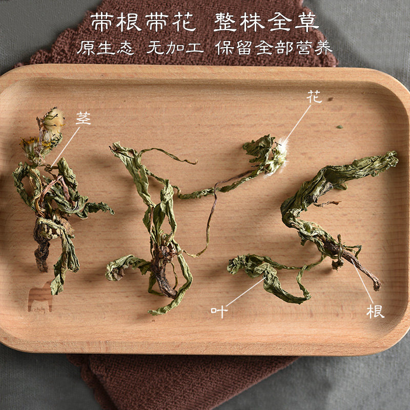 寻百草蒲公英中药材蒲公英茶野生新鲜蒲公英根夏枯草猫爪草郁金