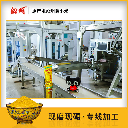 2025年新黄小米山西沁州黄小米2.5kg*2袋小米杂粮山西小米粥粗粮 - 图0