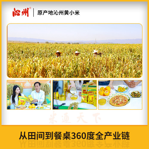 2025年新黄小米山西沁州黄小米2.5kg*2袋小米杂粮山西小米粥粗粮 - 图3