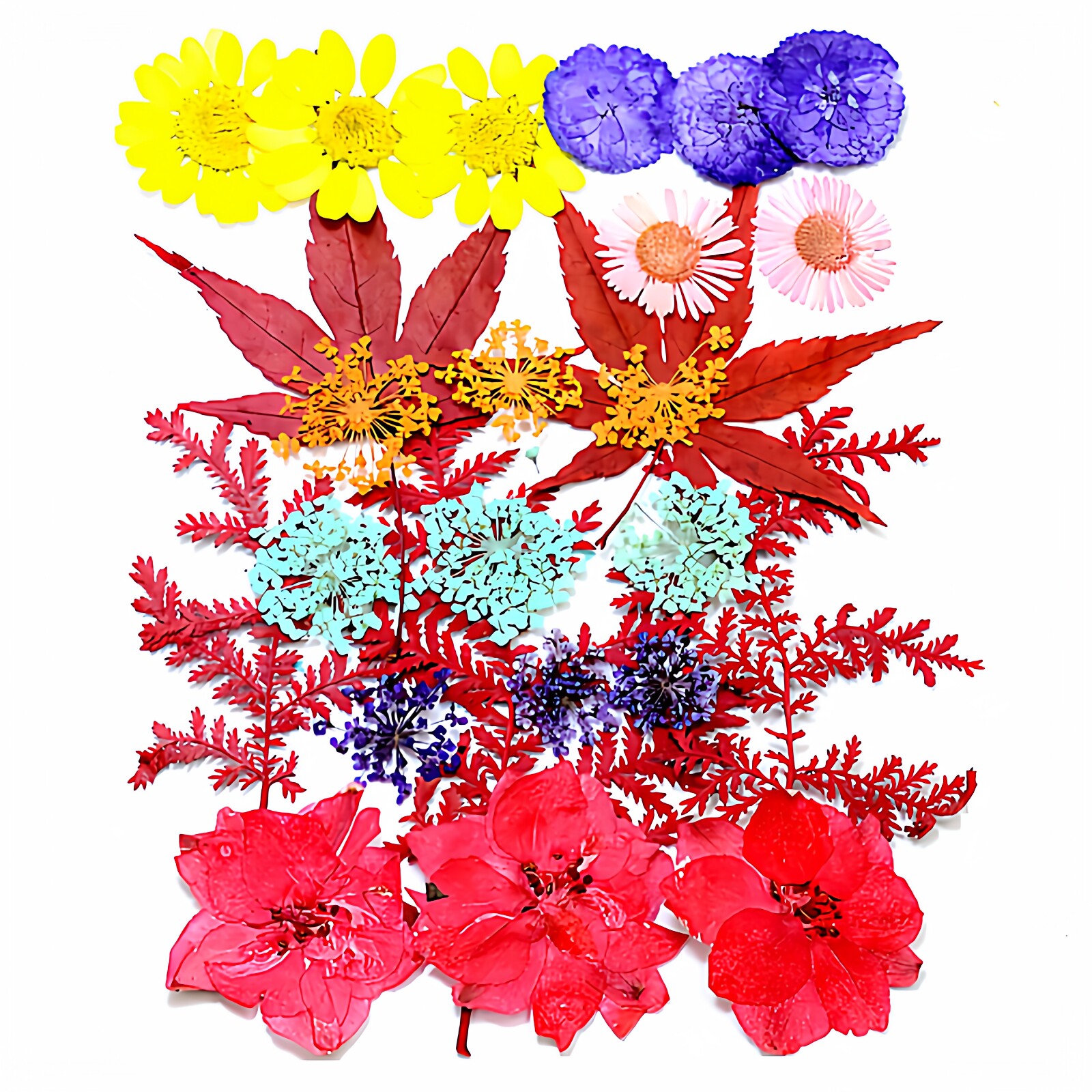 干花压花押花DIY材料包真树叶植物标本 幼儿园手工拼贴画滴胶相框