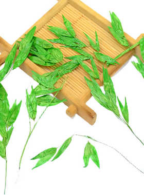 燕麦叶树叶粘贴画植物标本干花