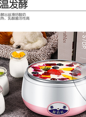 家用酸奶机米酒机小型纳豆机