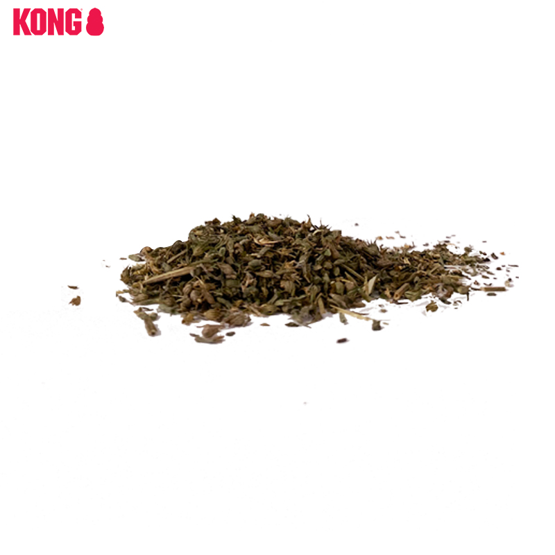 KONG猫零食猫薄荷食用自嗨玩具天然薄荷球罐装猫咪清新口气