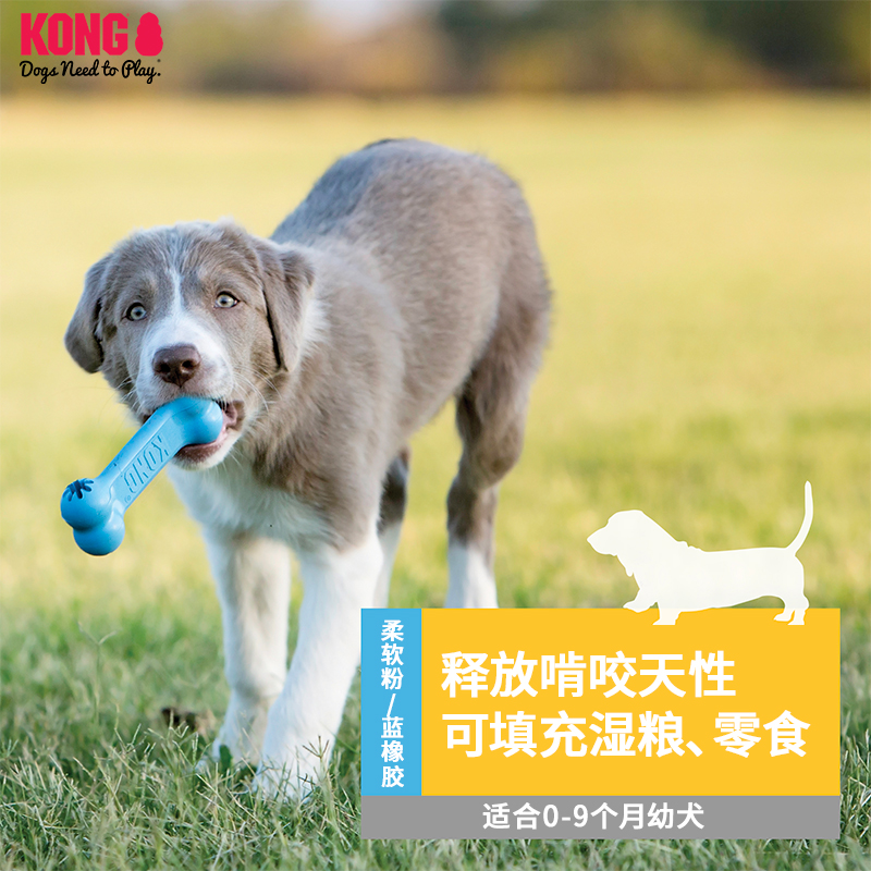 KONG漏食玩具磨牙幼犬小型犬比熊泰迪磨牙棒骨头耐咬解闷狗狗玩具