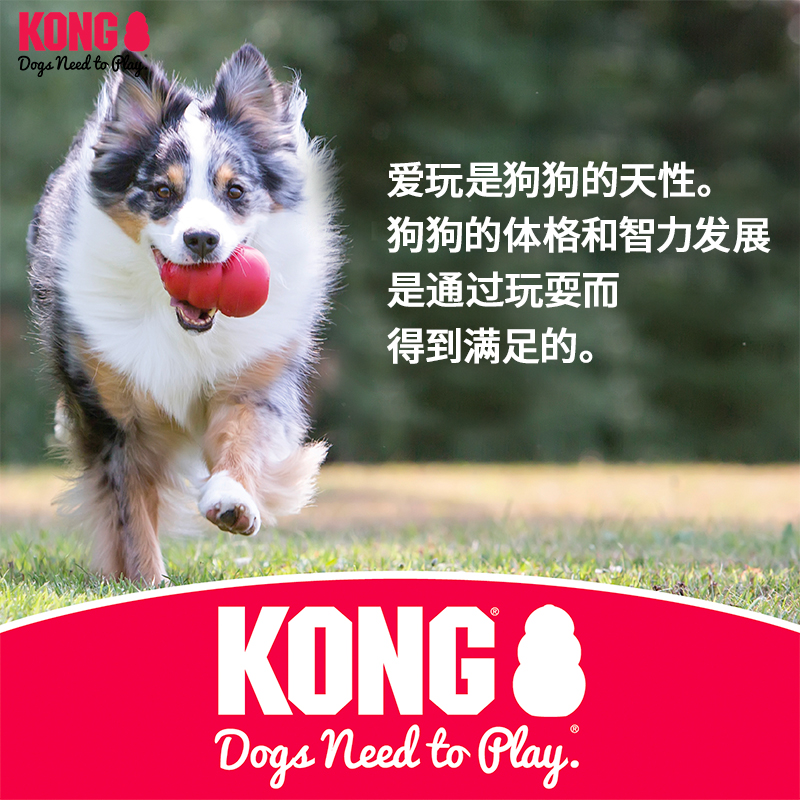 KONG幼犬飞盘耐咬磨牙柔软橡胶小型犬宠物游戏训狗专用飞盘狗玩具