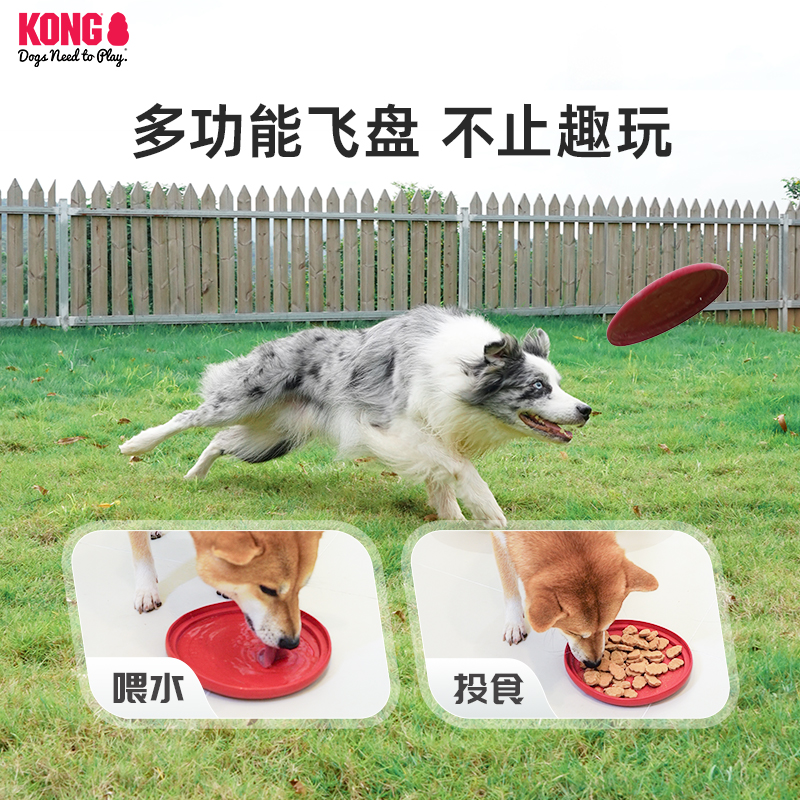 KONG狗狗飞盘耐咬磨牙解闷小型犬宠物户外训练边牧专用飞碟玩具