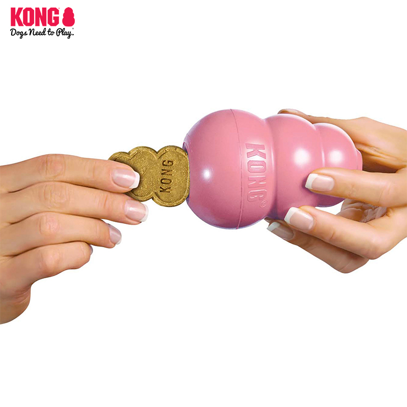 KONG狗玩具漏食球配套宠物训练奖励磨牙饼干鸡肝味+湿粮零食组合