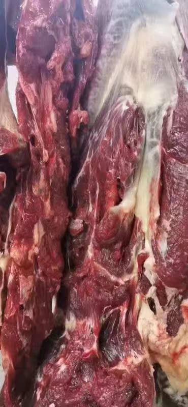 山东现杀毛驴去皮肉240元包邮五斤发顺丰真鲜驴肉 - 图2