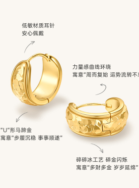 Onchic岁岁金耳环女本命年新款金色耳饰小圈轻奢高级感设计方圆脸