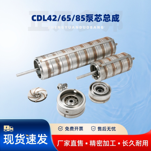 CDL/SDL/DLB/CDM42/65/85泵芯总成凯泉格兰富南方南元利欧泵配件 - 图2