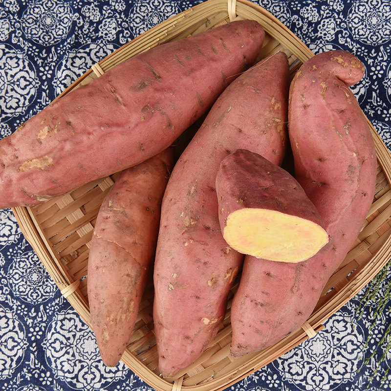 东北蜜薯糖心红心新鲜烟薯25番薯 科之丰番薯