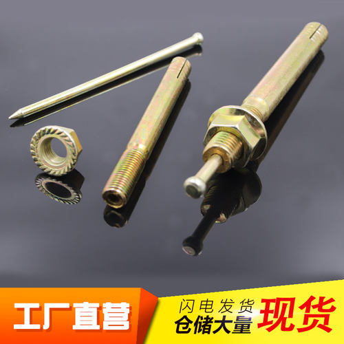 一钉得膨胀螺丝击芯膨胀螺丝 高强度膨胀栓 锤钉壁虎胀管M8-M20 - 图1