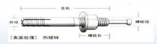 一钉得膨胀螺丝击芯膨胀螺丝 高强度膨胀栓 锤钉壁虎胀管M8-M20 - 图2