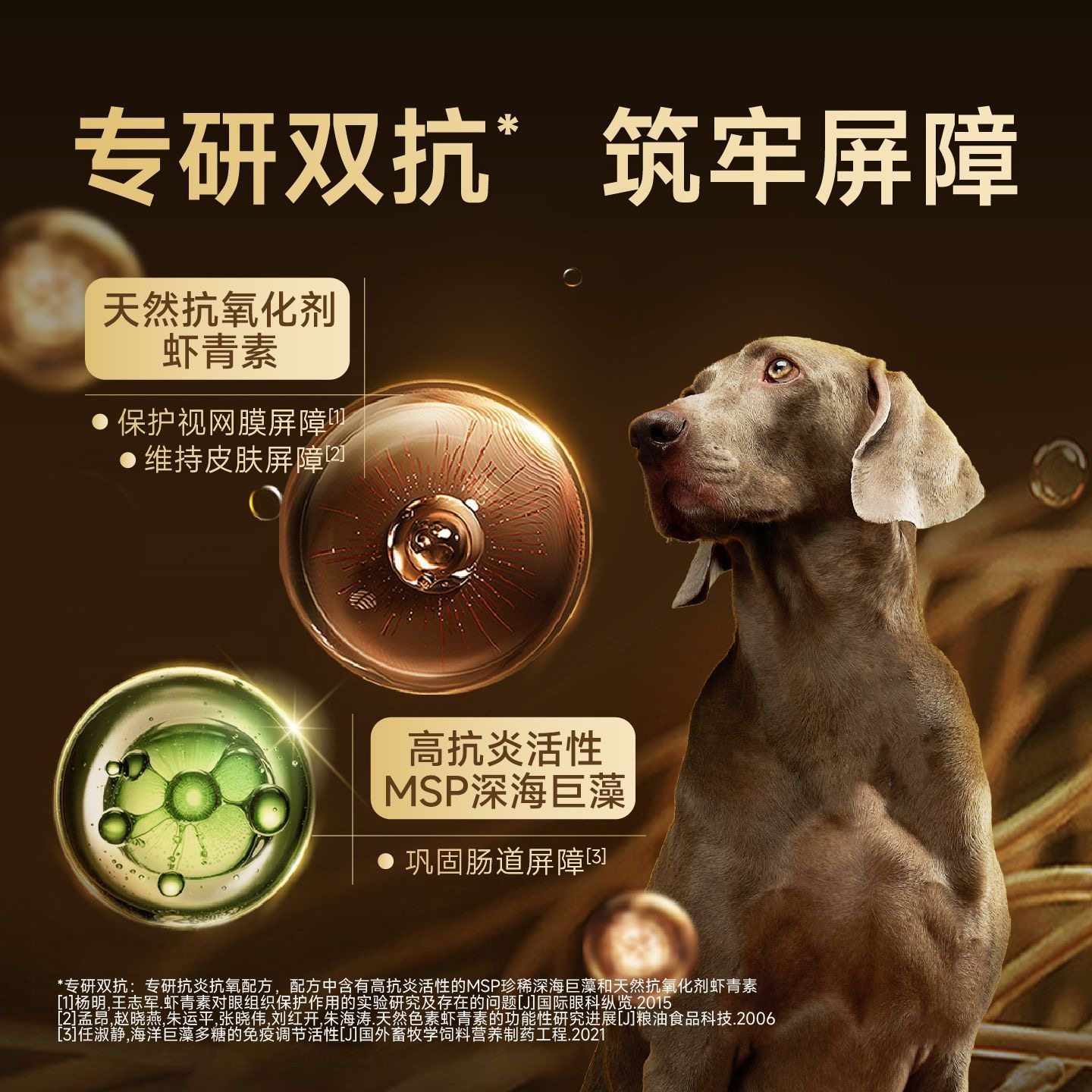 诚实一口黑金高鲜肉烘焙犬粮鸭肉芦笋清火狗粮中大小型犬幼犬泰迪,淘宝优惠券,粉丝福利购,淘宝优惠卷