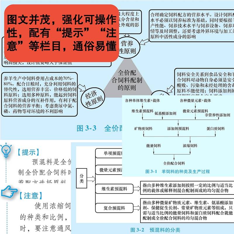 羊实用饲料配方手册 夏小静,袁丽君,李文 编 养殖 专业科技 机械工业出版社 9787111714446 图书 - 图1