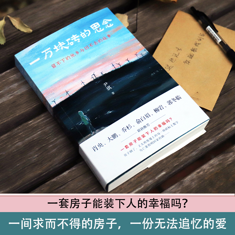 一万块砖的思念 尹琪 著 情感小说 文学 万卷出版公司 图书 - 图2