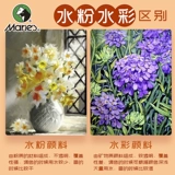 Гуашь, пигментированный комплект для школьников, художественная детская акварель для начинающих, 12 цветов, 24 цветов