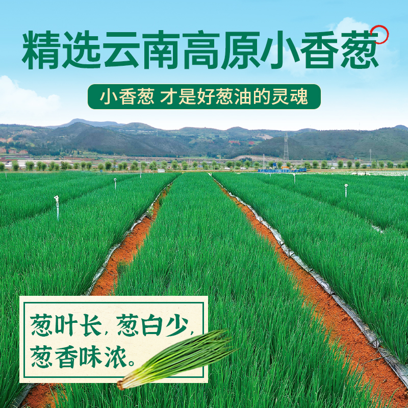 仲景上海葱油拌面酱荞麦面拌面汁调味料拌面条专用酱30g小袋装 - 图1