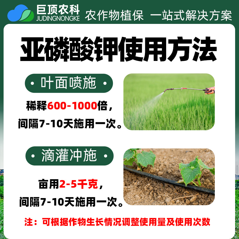 亚磷酸钾无公害叶面肥控稍控旺催花膨大上色肥料果树蔬菜水稻花卉 - 图1