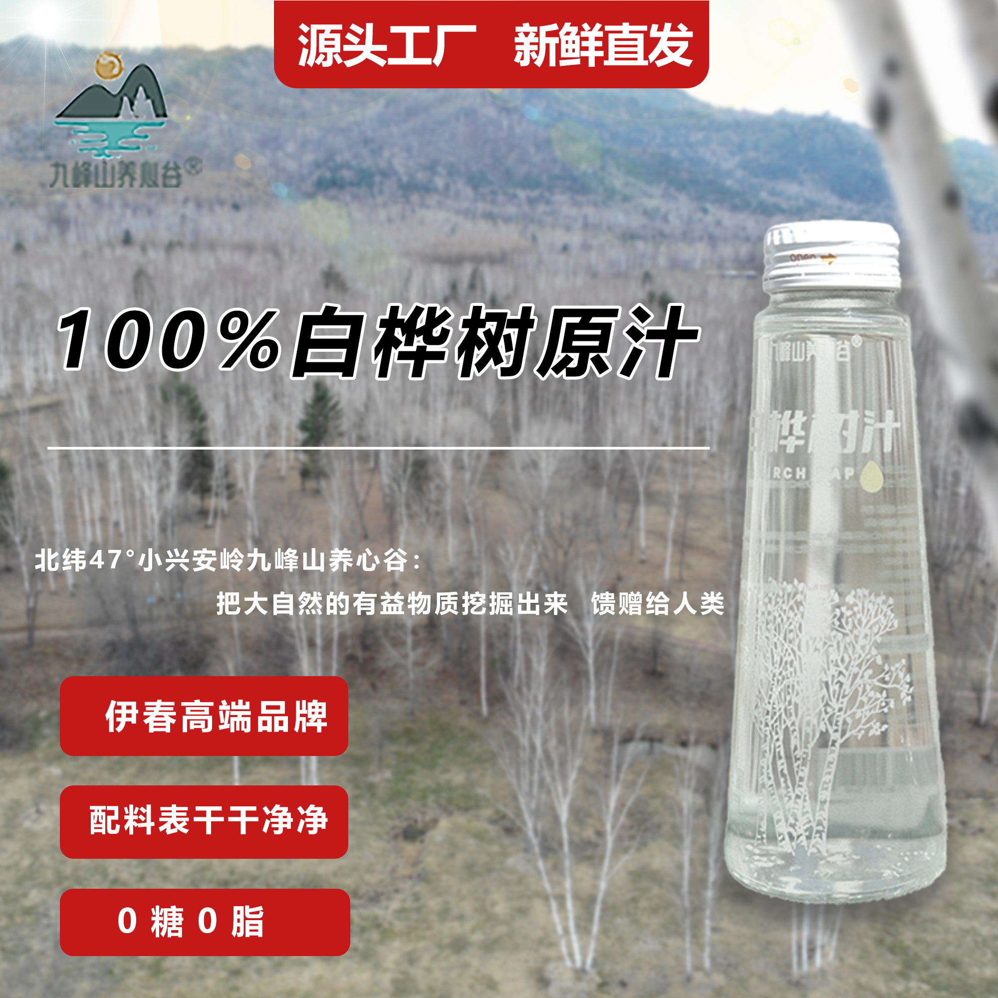 九峰山养心谷白桦树汁植物饮料补水饮品280ml*4瓶