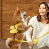 Рюкзак, майка топ, подтяжки с поводком, цепочка