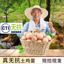 No Antibiotics Eggs Fresh Earth Eggs Authentic Farmhouse Loose Grass Eggs Golden Cicadas Firewood Eggs Bulky Eggs