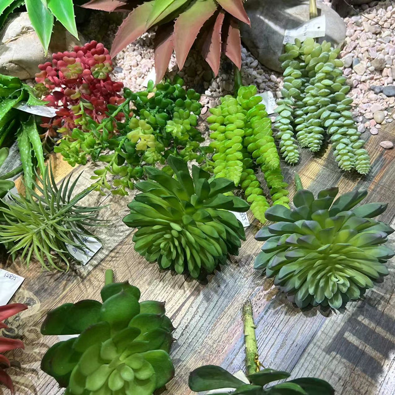 仿真多肉植物造景搭配装饰假软胶多肉石莲佛手莲松果百日菊红绿色-图1