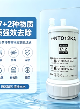 原装净水器滤芯NT012KA通用直饮