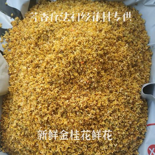 新鲜金桂花鲜花 每年10月花期 制作桂花纯露桂花蜜桂花酒桂花干花 - 图3