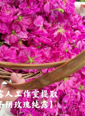 平阴玫瑰纯露CLR/采露人补水