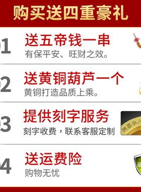 盆栽12/25英寸招财进宝摇钱树