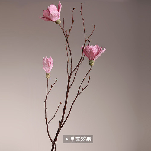 客厅落地天然玉兰干枝干花花束干支干树枝树装饰玉兰花仿真花卧室 - 图2