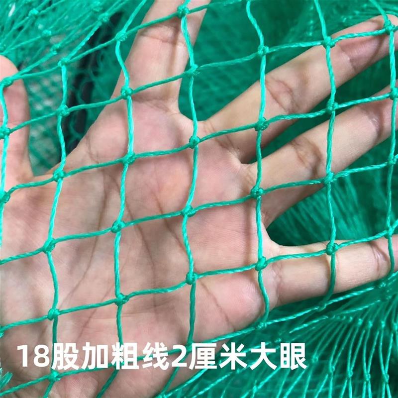 小网眼鱼护大眼鱼护18股网兜平底胶丝鱼护台钓库钓鱼网兜鱼网袋 - 图0