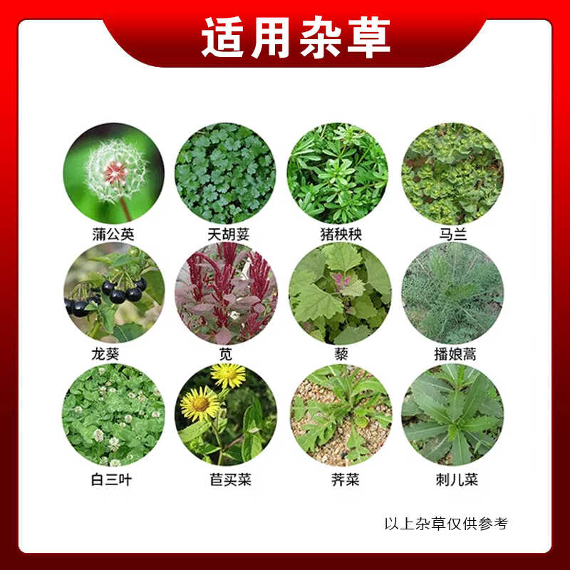 20%精草铵磷铵盐正品除草剂精草胺磷草铵膦草安磷果园杀草剂农药-图1