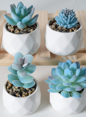 蓝色系植绒仿真多肉植物绿植 家居装饰diy摆件组合人造盆栽盆景