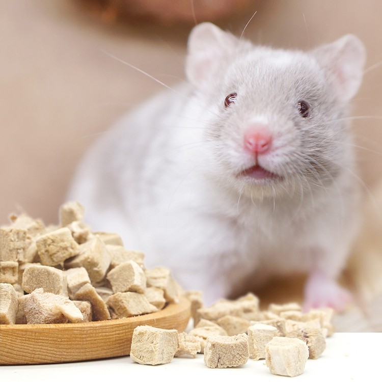 仓鼠冻干鸡肉粒冻干宠物粮食零食金丝熊营养粮食鸡胸肉干三文鱼肉,淘宝优惠券,粉丝福利购,淘宝优惠卷