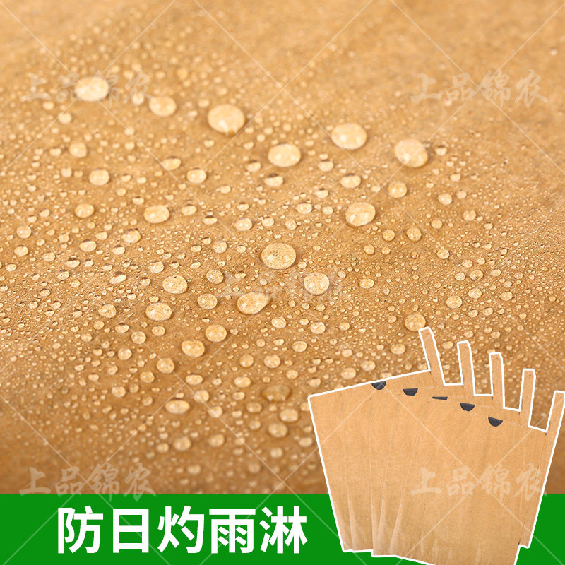 水果套袋枇杷袋子芒果柚子专用果袋桃子梨袋子柠檬橙子防冻防鸟袋,淘宝优惠券,粉丝福利购,淘宝优惠卷
