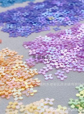 亮片伟丽珠饰PET法式刺绣